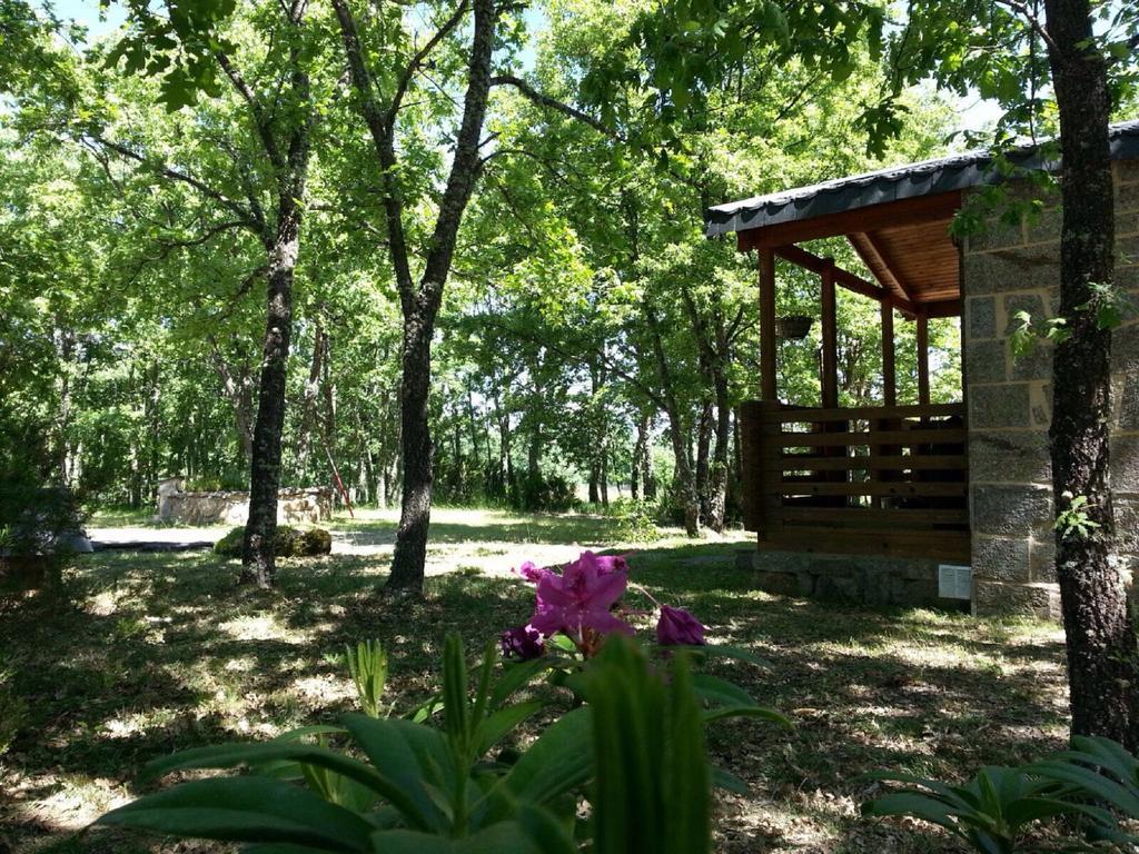 Cabanas Vallecino Manzanal de los Infantes Eksteriør billede