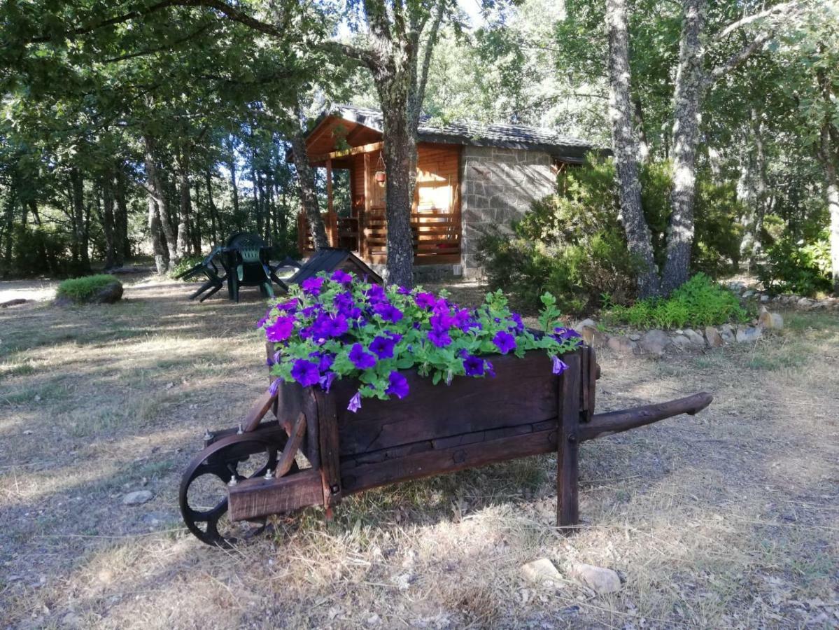Cabanas Vallecino Manzanal de los Infantes Eksteriør billede