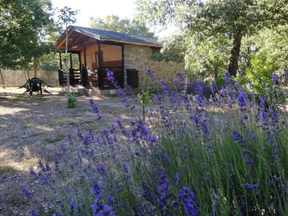 Cabanas Vallecino Manzanal de los Infantes Eksteriør billede