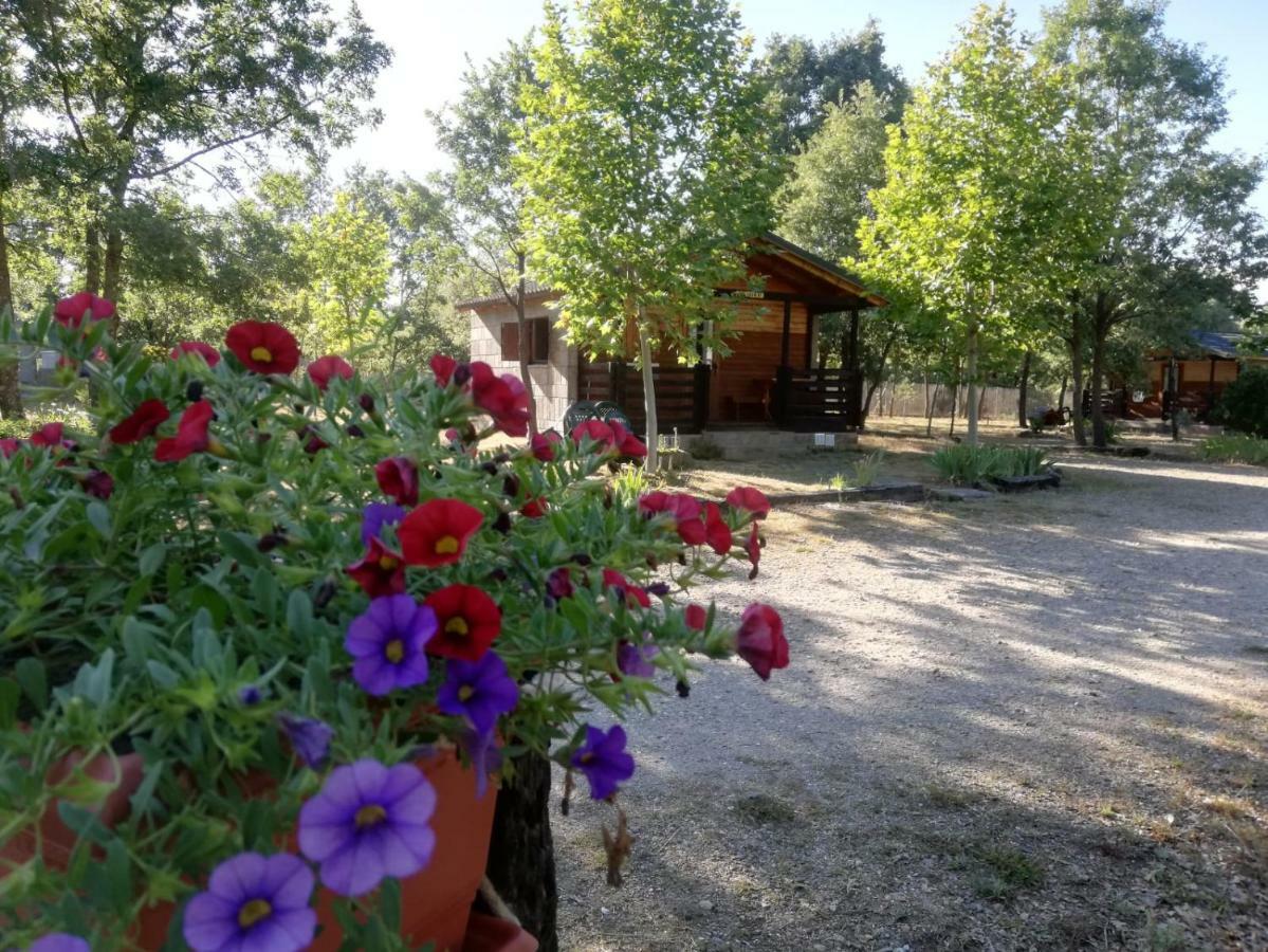 Cabanas Vallecino Manzanal de los Infantes Eksteriør billede
